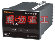 溫度表、數(shù)字顯示儀、濕度表